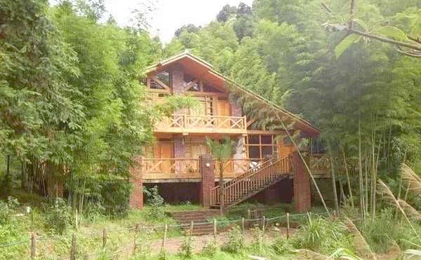 鄭州美博會(huì)分享美景地2：森林公園